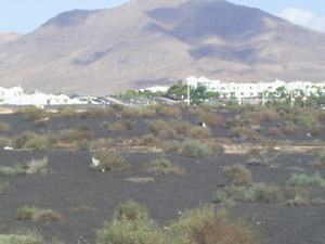 Lanzarote Landschaft