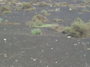 Vulkanboden auf Lanzarote