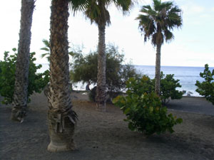 Playa Jardin